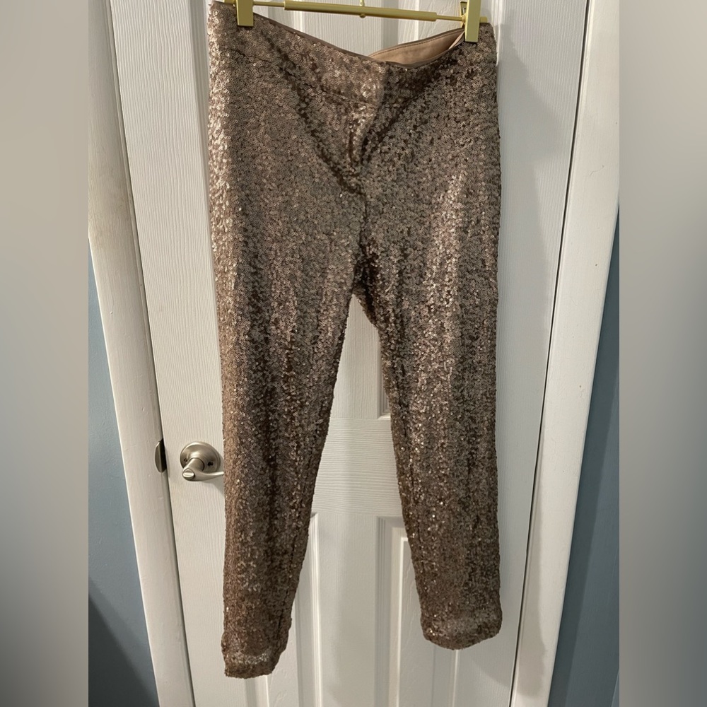 Ann Taylor Sequin Pants 2P